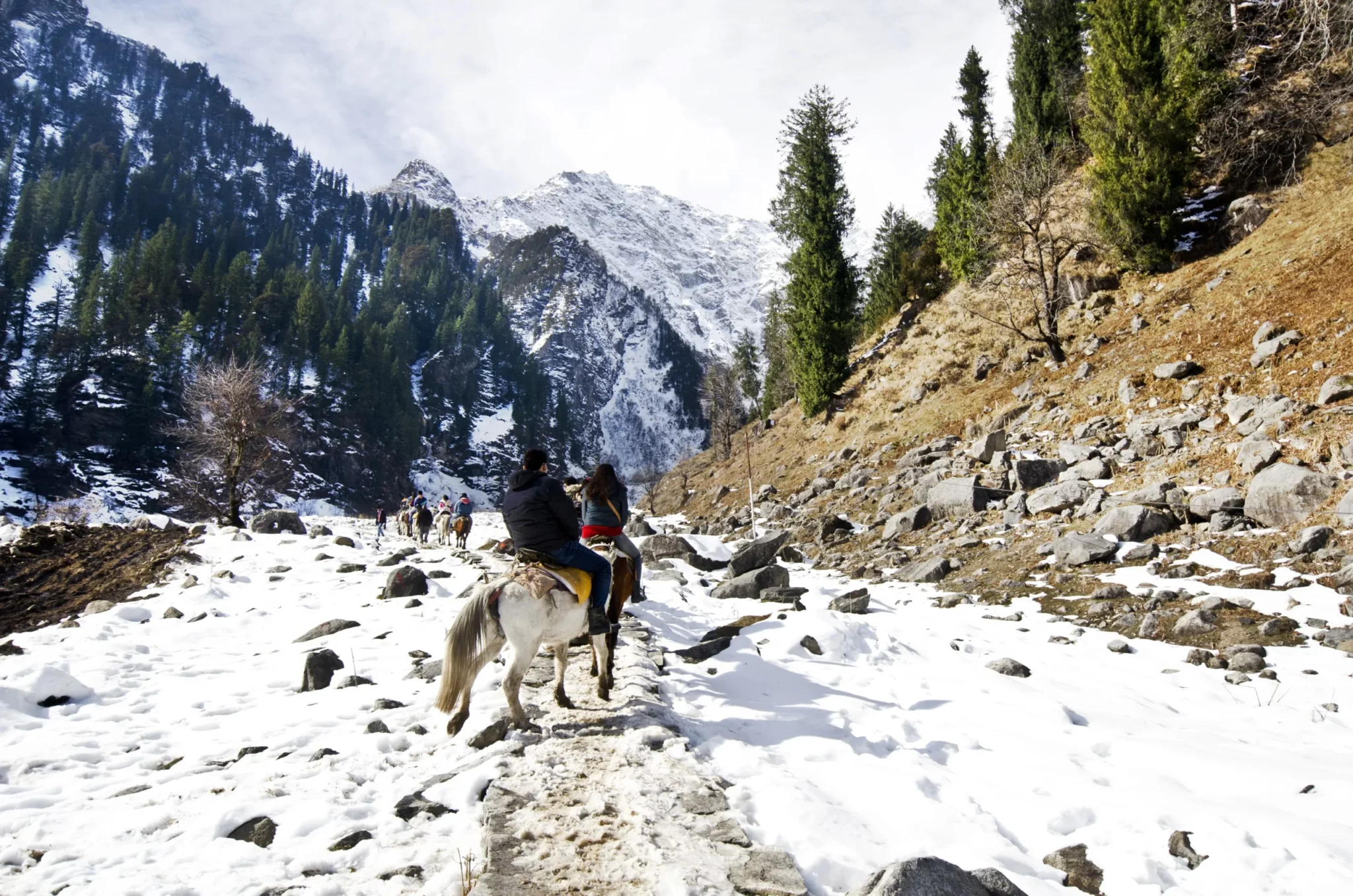 Horse Riding in Manali