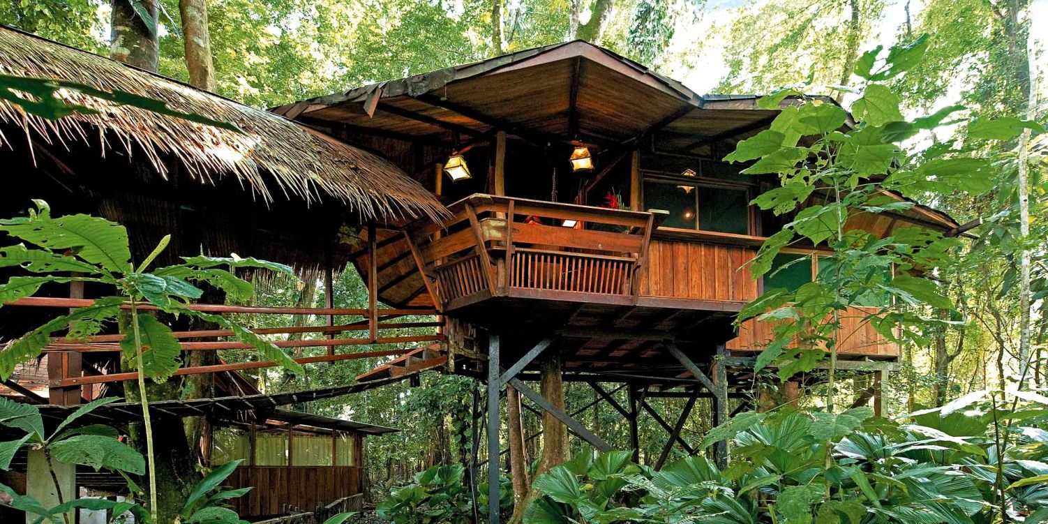 Camping Experiences at Tree Stays