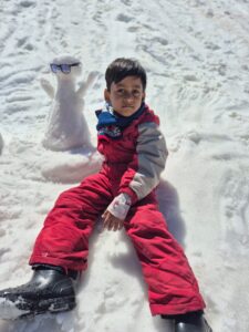 manali tour packages