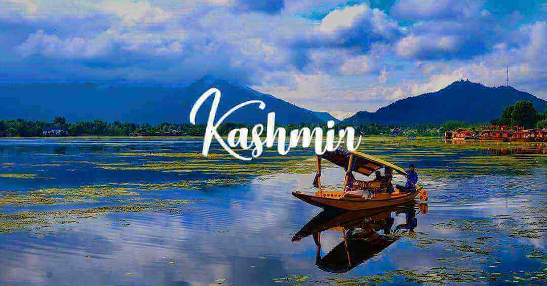 Srinagar Delights